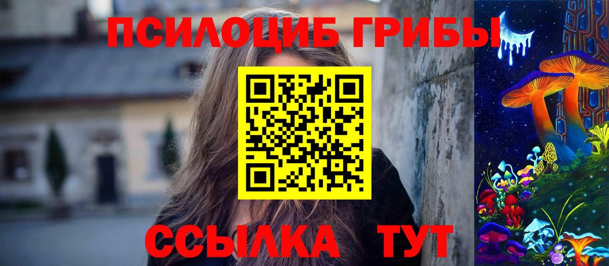 Йошкар-Ола  Псилоцибиновые грибы прущие грибы  купить закладку  Галлюциногенные грибы GOLDEN TEACHER  Вход с VPN 
