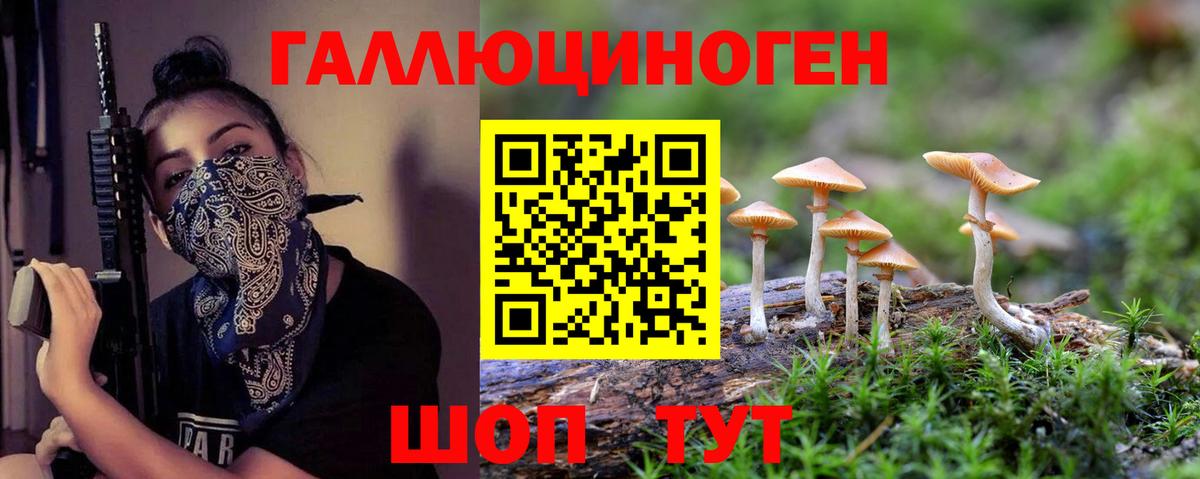 Меф Йошкар-Ола